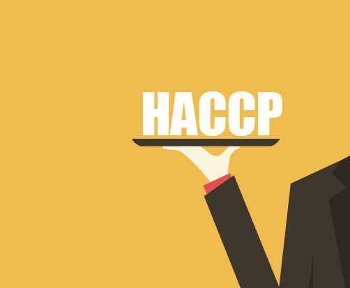 Consulenza HACCP